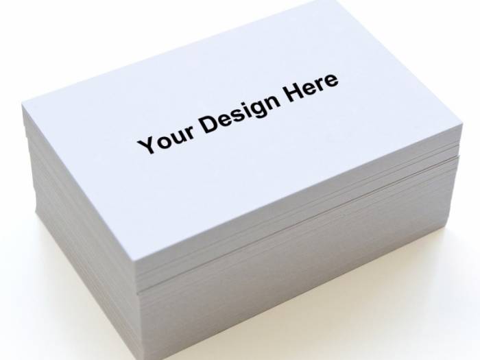 [500 Business Cards for $20]